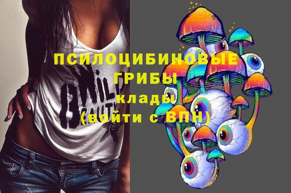 ПСИЛОЦИБИНОВЫЕ ГРИБЫ Михайловск