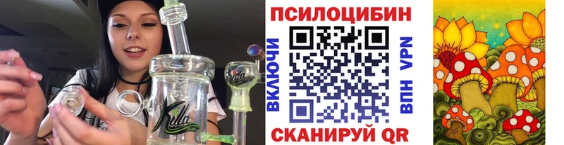 Галлюциногенные грибы Magic Shrooms  где купить   Шахты 