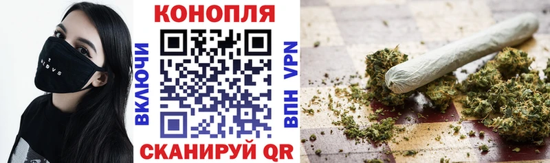 купить   Шахты  Каннабис планчик 